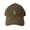 Brown, variant on Adult Cactus Embroidered Deluxe Dad Hat