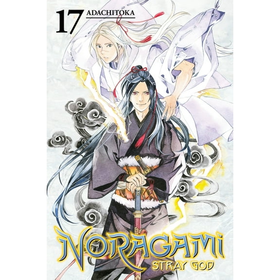 Noragami: Stray God Noragami: Stray God, Volume 17, Book 17, (Paperback)