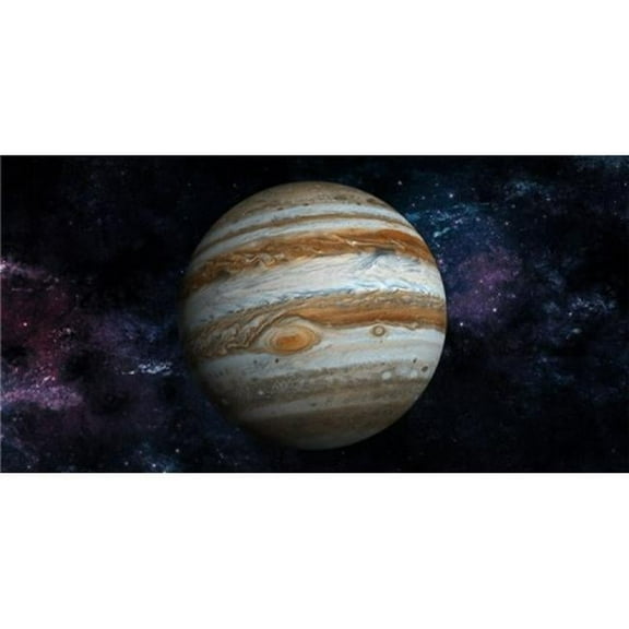 Jupiter Photo License Plate