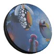 thumbnail image 5 of BQLZR Wave Bead Ocean Drum Percussion Instrument with Fish Patton 10 inch, 5 of 5