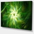 thumbnail image 2 of Feux d'Artifice Verts Fractals Rotatifs - Impression sur Toile Florale, 2 of 4
