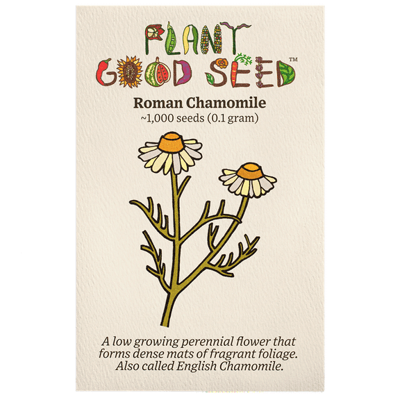 Roman Chamomile Seeds
