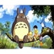 thumbnail image 1 of 5D DIY Kit Totoro Del Arte Artesanal 50x40cm, 1 of 9