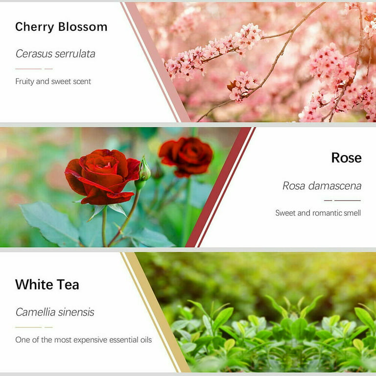 10ml Cherry Blossom Aromatherapy Essential Oil, Suitable For Diffusers, Oil  Burners, Humidifiers, Air Fresheners