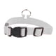 thumbnail image 1 of Collar de perro LED, collar de perro iluminado que cambia de color arcoíris recargable, Adepaton CPB-US-YY86-8, 1 of 5