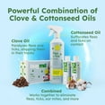 thumbnail image 2 of Flea & Tick Starter Kit, 3.7 oz. Concentrated Indoor/Outdoor Flea and Tick Insect Killer Spray (2-Pack), 2 of 5