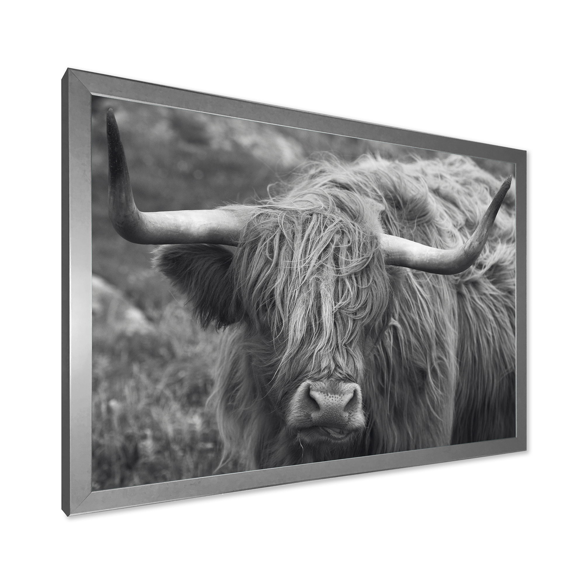Designart 'Close Up Of Scottish Cow On Moorland I' Farmhouse Framed Art Print