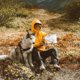 thumbnail image 4 of 3pcs 2L Collapsible Water Pouch Portable Foldable Water Bag Water Container Jug, 4 of 4