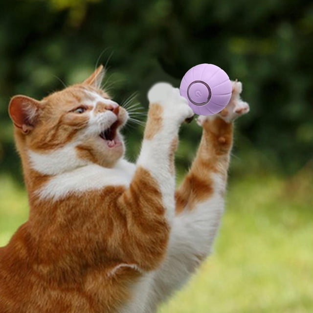 Pelota de juguete interactiva inteligente para gatos, pelota de juguete móvil inteligente para gatos, bola rodante y automóvil con luz colorida para g Violeta