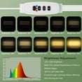 thumbnail image 3 of Plant Grow Light 4 Head, 6000K Full Spectrum Grow Lamp for Indoor Plants with 3/9/12H Timer & 10 Dimmable Levels, 13 inch LED Grow Light Strips Plant Light for Green House Hydroponics Succulent, 3 of 6