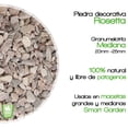 thumbnail image 2 of Piedra decorativa Smart Garden Rosetta Stone 01-M-25 Ideal para macetas, 2 of 2