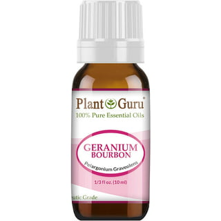  Gya Labs Rose Geranium Essential Oil for Skin - 100% Natural Geranium  Oil for Diffuser - Rose Geranium Essential Oil Organic for Aromatherapy  (0.34 fl oz) : Health & Household