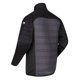 thumbnail image 5 of Regatta - Chaqueta Acolchada Halton V Acolchado para Hombre (Rinoceronte, Negro) Regatta UTRG6422_rhinoblack, 5 of 6