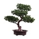 thumbnail image 4 of Árbol de simulación, planta en maceta, planta verde artificial, escritorio decorativo multiusos Estilo C, 4 of 9