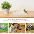 thumbnail image 1 of BESTYASH Realistic Light Grey Turtle Platform for Water Turtles with Feeder and Decoration, 1 of 7
