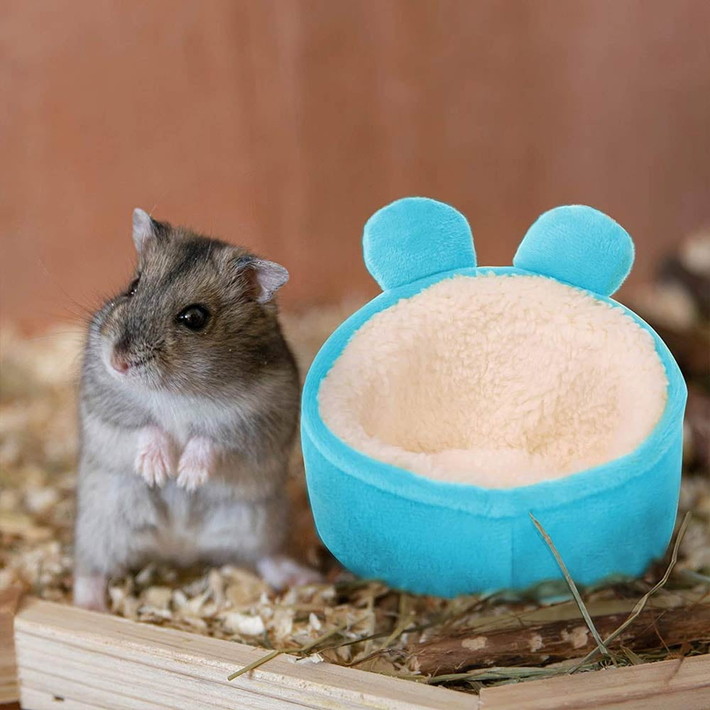 Albums 93+ Wallpaper Why Is My Hamster Sleeping On Top Of The Bedding