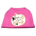 thumbnail image 3 of Halloween Pet Dog  Cat Shirt Screen Printed, "Too Cute To Spook", 3 of 10