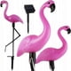 thumbnail image 1 of 3 X Solar Lamp Decorative Flamingo Set Flamingos Garden Decoration, 1 of 5