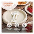 thumbnail image 3 of TPLA Wrapped Cutlery, Fork/Knife/Napkin/Spoon, Plastic, White, 250/Carton | Bundle of 5, 3 of 6