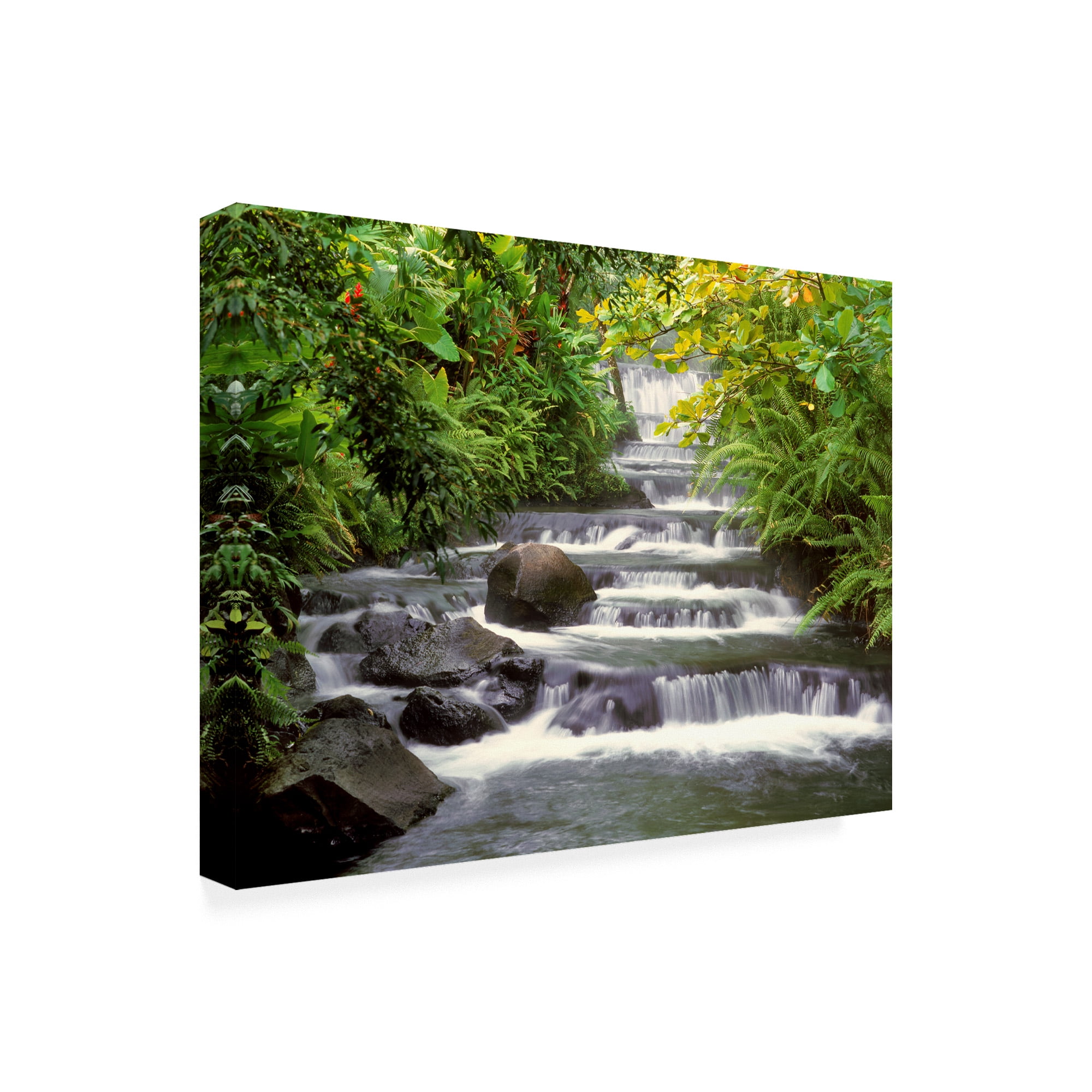 Trademark Fine Art 'Terraced Falls' Canvas Art by Monte Nagler