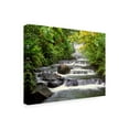 thumbnail image 2 of Trademark Fine Art 'Terraced Falls' Canvas Art by Monte Nagler, 2 of 3