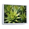 thumbnail image 2 of Designart "Wonderfully Golden Harvest Of Pineapples" Pineapples Floater Framed Wall Decor, 2 of 5