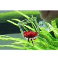 thumbnail image 4 of de 2, maceta de , portavasos para plantas, acuario, pecera, alimentador de gusanos rojos Yinane Alimentador de tanque de peces de acuario, 4 of 8