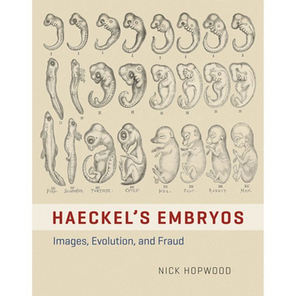 Pre-Owned Haeckel's Embryos: Images, Evolution, and Fraud (Hardcover) by Nick Hopwood