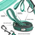 thumbnail image 2 of BLACK RHINO Striped Dog Leash Double Handle Reflective (5 Ft, Aqua/Gr), 2 of 3