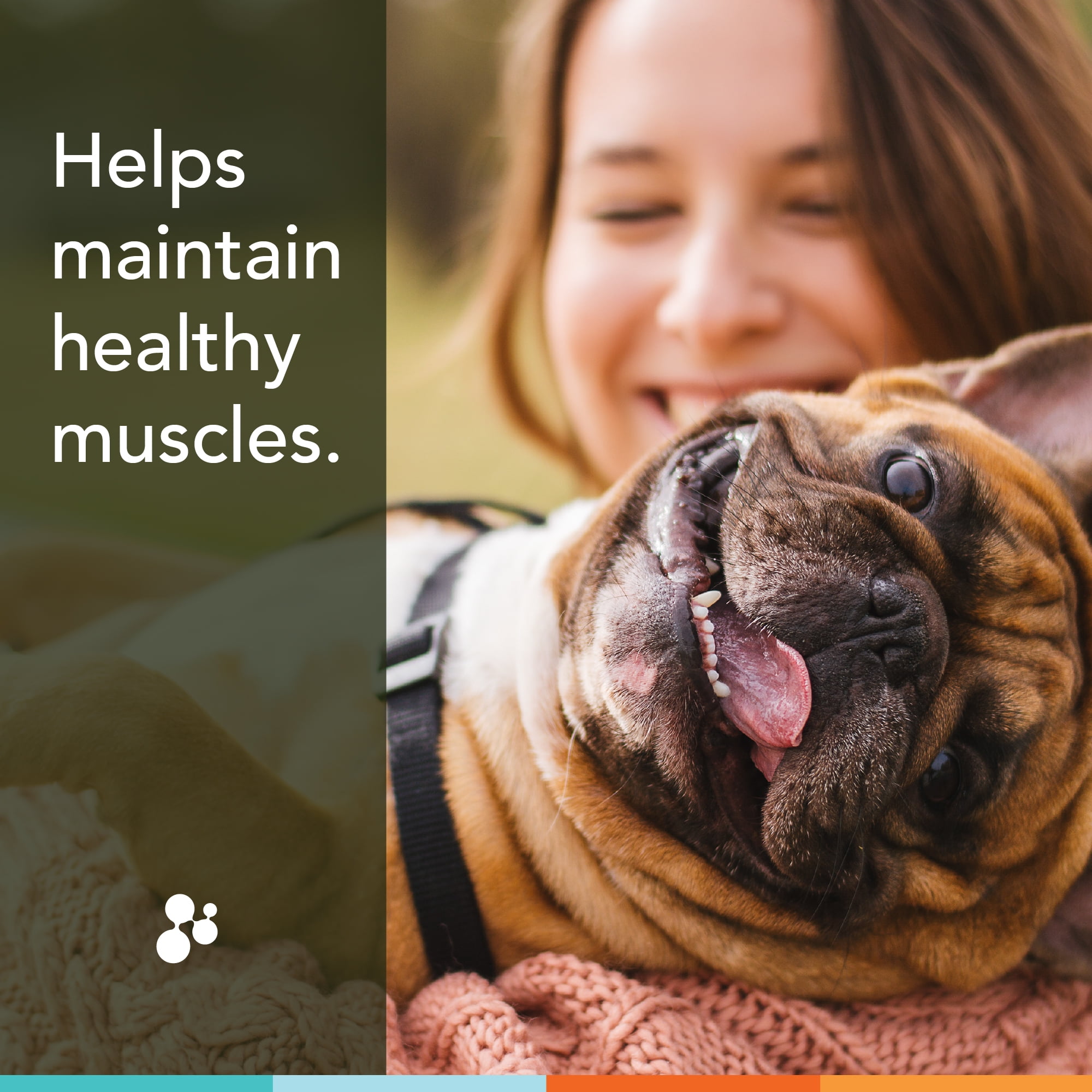 Joint Health Supplement for Dogs : RJX Powder (144g) : Concentrated Glucosamine, Chondroitin, MSM