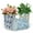 Round-flower, variant on 4Pcs Round Flower Pots Plastic Decoration Flower Pots Retro Design Planters with Drainage Holes & Double Lined Planters for Outdoor Indoor Garden Home Plants