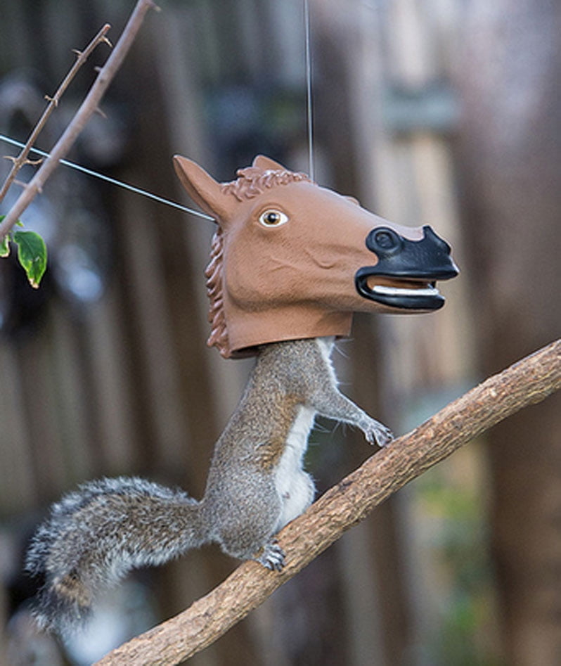 Accoutrements Horse Head Squirrel Feeder Halloween Accessory
