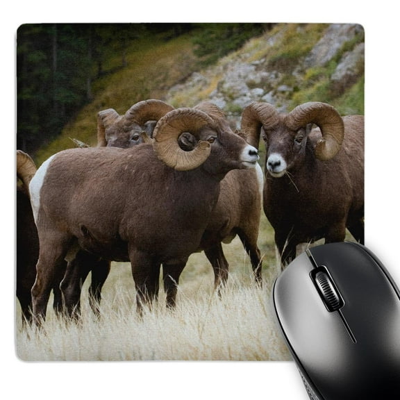 3dRose, Herd of Rocky Mountain Bighorn Sheep Rams, MousePad