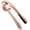 Rose Gold -1.0, variant on Premium Garlic Press, Professional Garlic Mincer, Easy to Squeeze and Clean, Rust Proof, Efficient Ginger Crusher - Gloss Silver