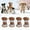 F, variant on Durable All-Weather Protective Pet Shoes for Cats and Dogs with - Soles and Reflective Strips for Outdoor Hiking Walking Running on Various Terrains
