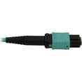 thumbnail image 4 of Tripp Lite Multimode Fiber Patch Cable, 50/125 OM3 MTP/MPO (F/F), 12 Fiber, 40/100/400GbE, Aqua LSZH Jacket, 10 Meters / 32.8 Feet (N844B-10M-12-P), 4 of 4