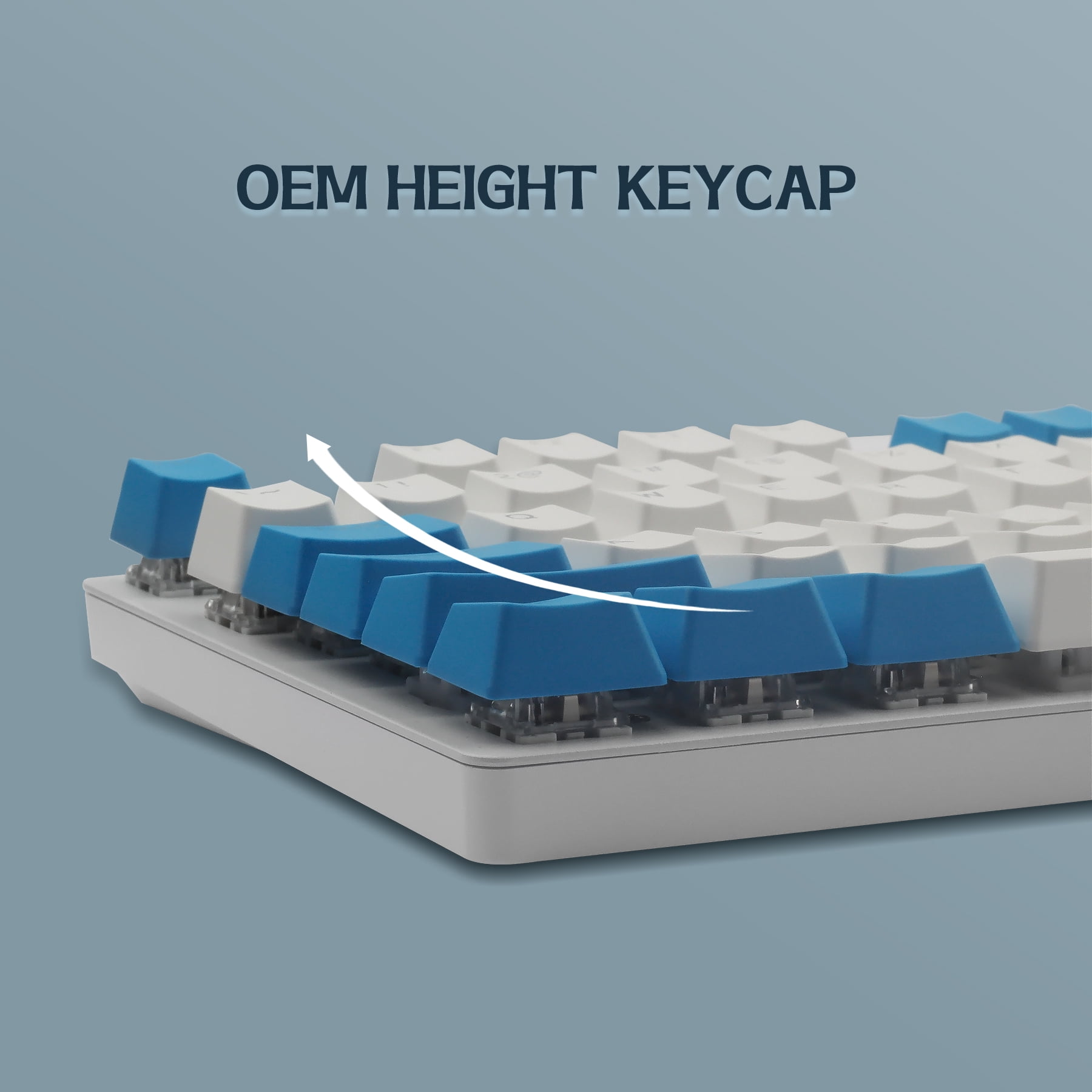 Hyssop PBT Keycaps OEM Profile Doubleshot Backlit Keyset Cherry MX for 61 87 108 MX Switches Mechanical Keyboard
