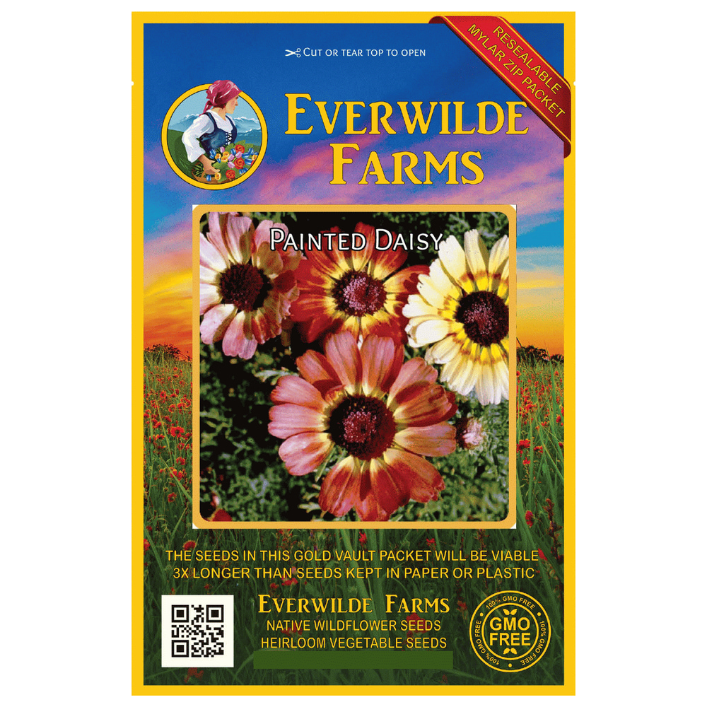 Everwilde Farms 1000 Painted Daisy Garden Flower Seeds Gold Vault