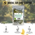 thumbnail image 5 of Soursop Leaves | Graviola Fruit Leaves | 50 Grams | Herb To Body | Approximately 80 leaves, 5 of 7