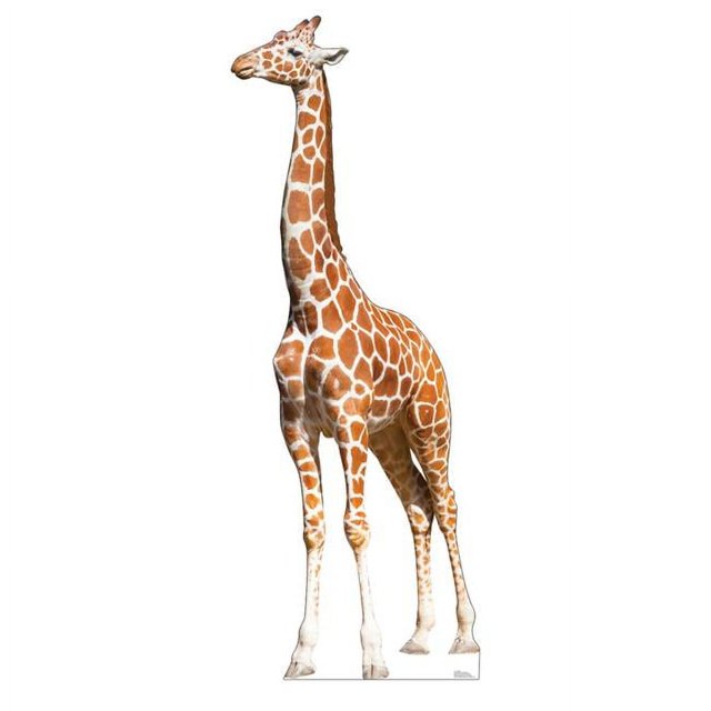 Girafe Graphique Avancée Support en Carton Taille Réelle
