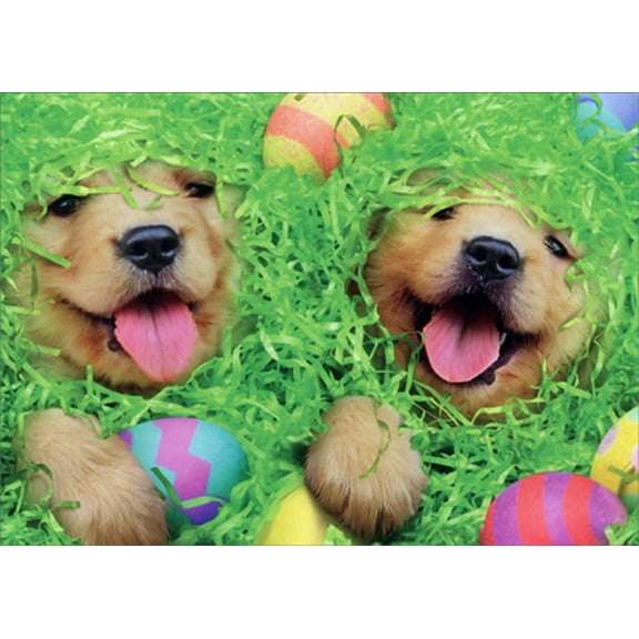 Avanti Press Puppies and Eggs in Easter Grass Cute Dog Easter Card