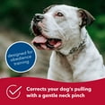 thumbnail image 6 of Herm Sprenger Ultra-Plus Prong Dog Training Collar, Chrome, 3.8 mm x 22" Neck Size; 24" Chain Length, 6 of 8