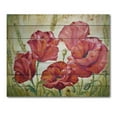 thumbnail image 3 of Designart 'Blossoming Red Poppies In The Morning' Traditional Print on Natural Pine Wood, 3 of 5