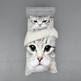 thumbnail image 1 of Ambesonne Animal Bedding Set 3 Pcs, Domestic Kitty Portrait, Twin XL, Multicolor, 1 of 3