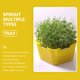 thumbnail image 4 of Moluckfu 3Ud Bandejas De Germinación Para Plantas Con Gran Capacidad Y Material Plástico Resistente, 4 of 8