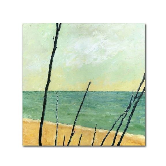 Trademark Fine Art "Branches on the Beach" Canvas Art by Michelle Calkins