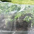 thumbnail image 5 of Mosquito Bug Insect Bird Net con bordes cosidos - Barrera de 10 pies x 20 pies Caza Cubierta de plantas ciegas Red de malla de jardín para proteger sus verduras, frutas, 5 of 5