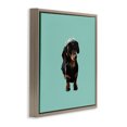 thumbnail image 3 of Stupell Industries Contemporary Dachshund Wearing Tiara Brown Floating Frame Canvas Art, 18 x 18, by Amelia Noyes, 3 of 7