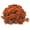 Curly Brown, variant on 3.5oz Needle Felting Wool Roving for Needle Felting Kits 100g