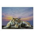 thumbnail image 1 of Safari Cutting Board, Tiger Lying on Wood Blue Sky Colorful Sunset Pose Strpies Claws, Decorative Tempered Glass Cutting and Serving Board, Small Size, Lavender Mustard, by Ambesonne, 1 of 1